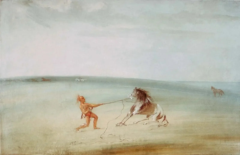 Dele opp den ville hesten - George Catlin

Source:
Décomposer le cheval sauvage - George Catlin