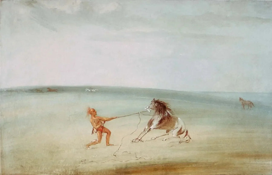 Dele opp den ville hesten - George Catlin

Source:
Décomposer le cheval sauvage - George Catlin
