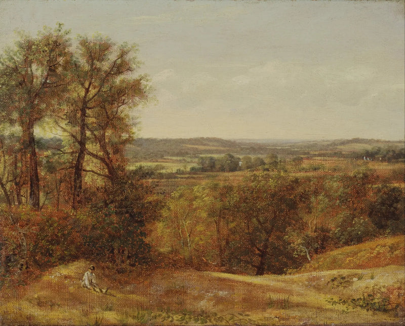 Dedham-dalen - John Constable