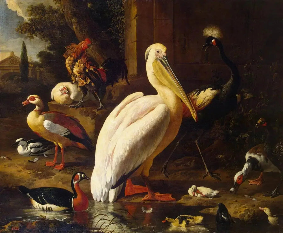 Fugler i en park - Melchior de Hondecoeter