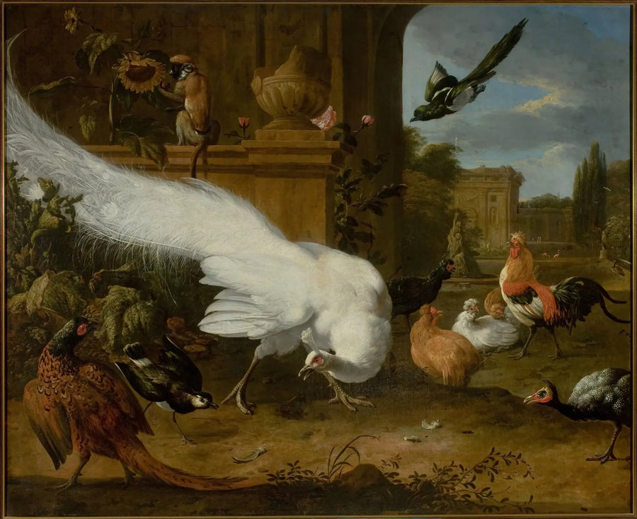 Fugler og en hvit påfugl - Melchior de Hondecoeter