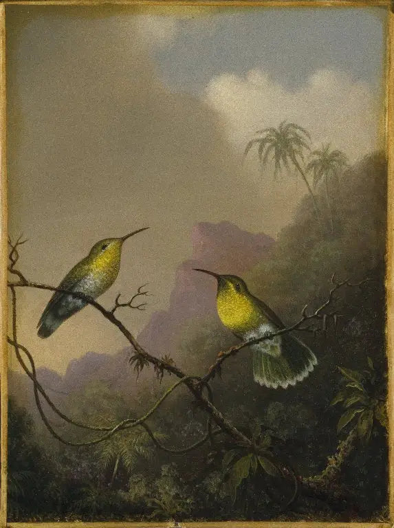 To kolibrier: den kobberhalede amazili - Martin Johnson Heade

Source:
Deux colibris : l'amazili à queue cuivrée - Martin Johnson Heade