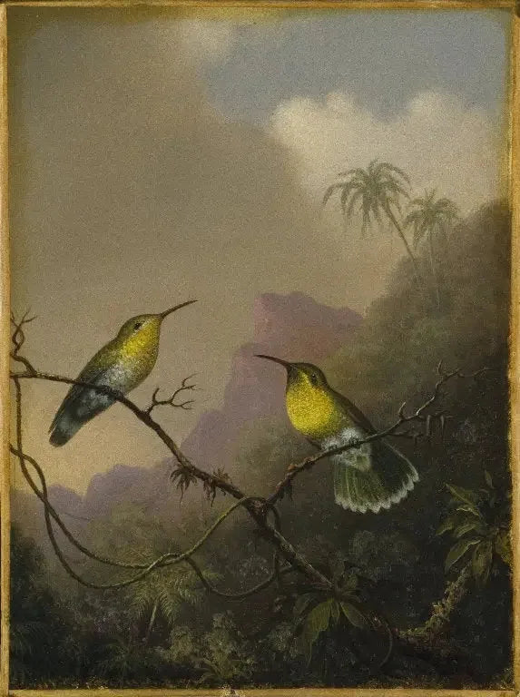 To kolibrier: den kobberhalede amazili - Martin Johnson Heade

Source:
Deux colibris : l'amazili à queue cuivrée - Martin Johnson Heade