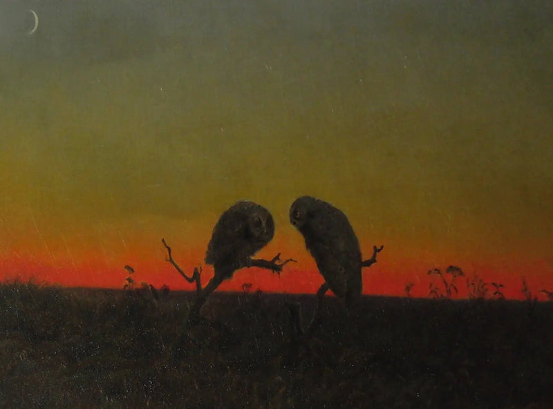 To ugler ved solnedgang - Martin Johnson Heade

Source:
Deux hiboux au coucher du soleil - Martin Johnson Heade