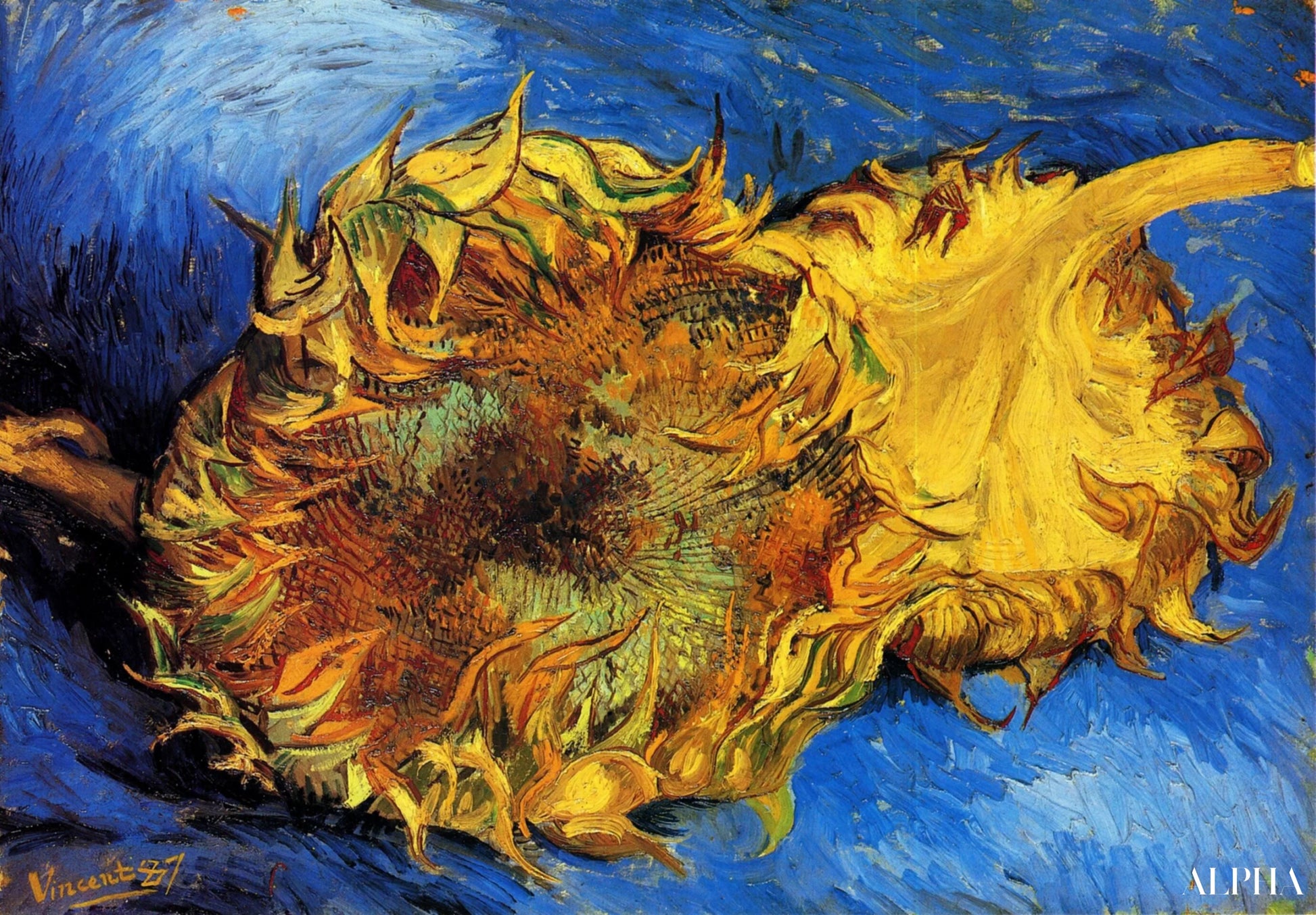 To kuttede solsikker - Van Gogh - Høykvalitets reproduksjoner av malerier og bilder