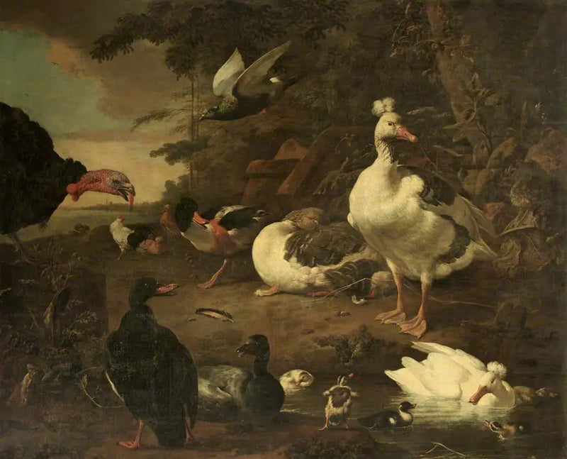 Kalkuner, gjess, Belon-ender og andre fjærfe, i et landskap med en bekk - Melchior de Hondecoeter