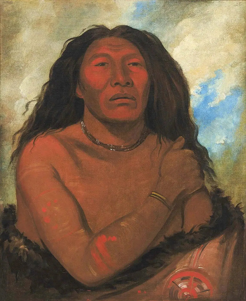 Duhk-gits-o-ó-see, Ours Rouge, en utmerket kriger - George Catlin

Source:
Duhk-gits-o-ó-see, Ours Rouge, un guerrier distingué - George Catlin