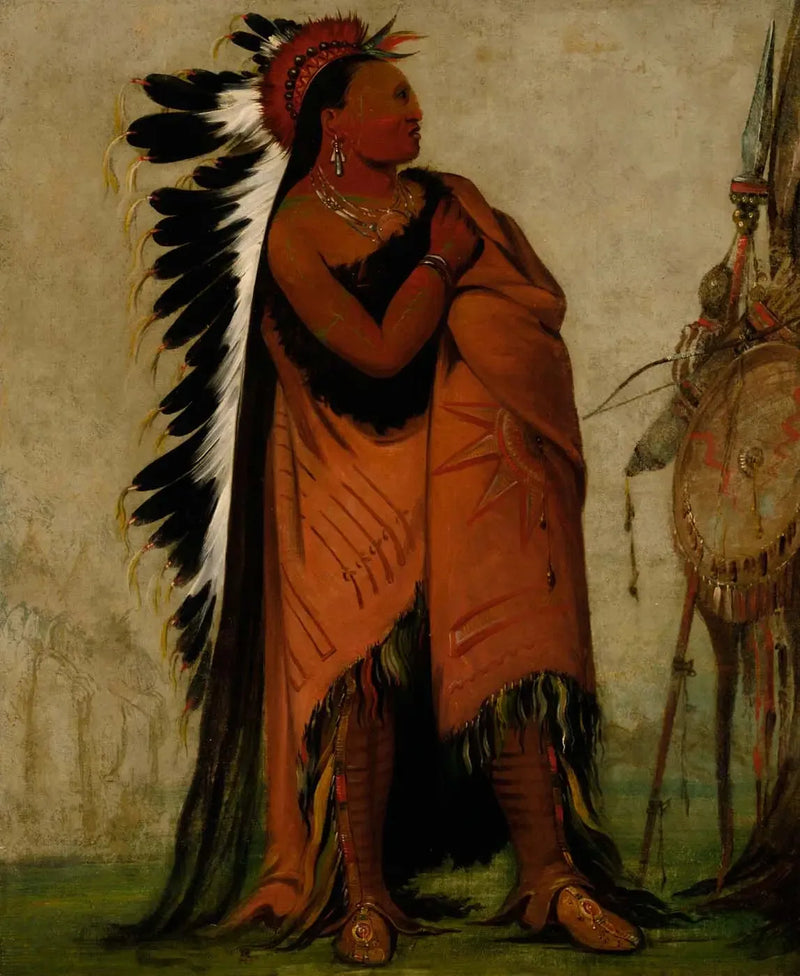 Eé-hee-a-duck-cée-a, Den som binder håret sitt før - George Catlin

Source:
Eé-hee-a-duck-cée-a, Celui qui attache ses cheveux avant - George Catlin