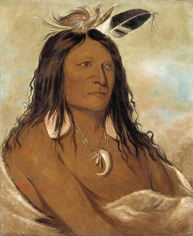 Eé-shah-kó-nee, bue og pilhylle, Tribuens første leder - George Catlin

Source:
Eé-shah-kó-nee, Arc et carquois, Premier chef de la tribu - George Catlin