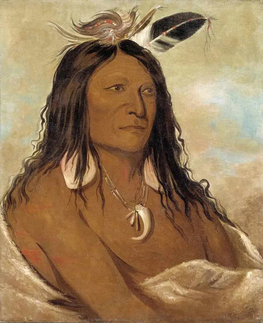 Eé-shah-kó-nee, bue og pilhylle, Tribuens første leder - George Catlin

Source:
Eé-shah-kó-nee, Arc et carquois, Premier chef de la tribu - George Catlin