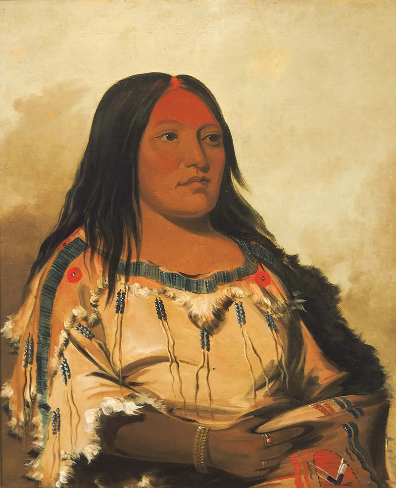Eeh-nís-kim, Pierre de Cristal, Épouse du Chef - George Catlin

Source:
Eeh-nís-kim, Pierre de Cristal, Épouse du Chef - George Catlin