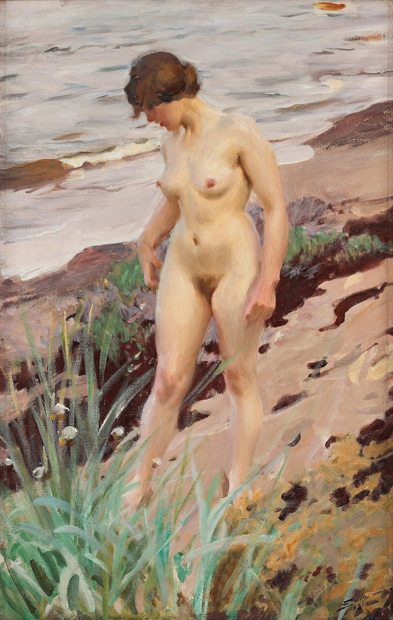 Effekt Sandhamn - Anders Zorn

Source:
Effet Sandhamn - Anders Zorn