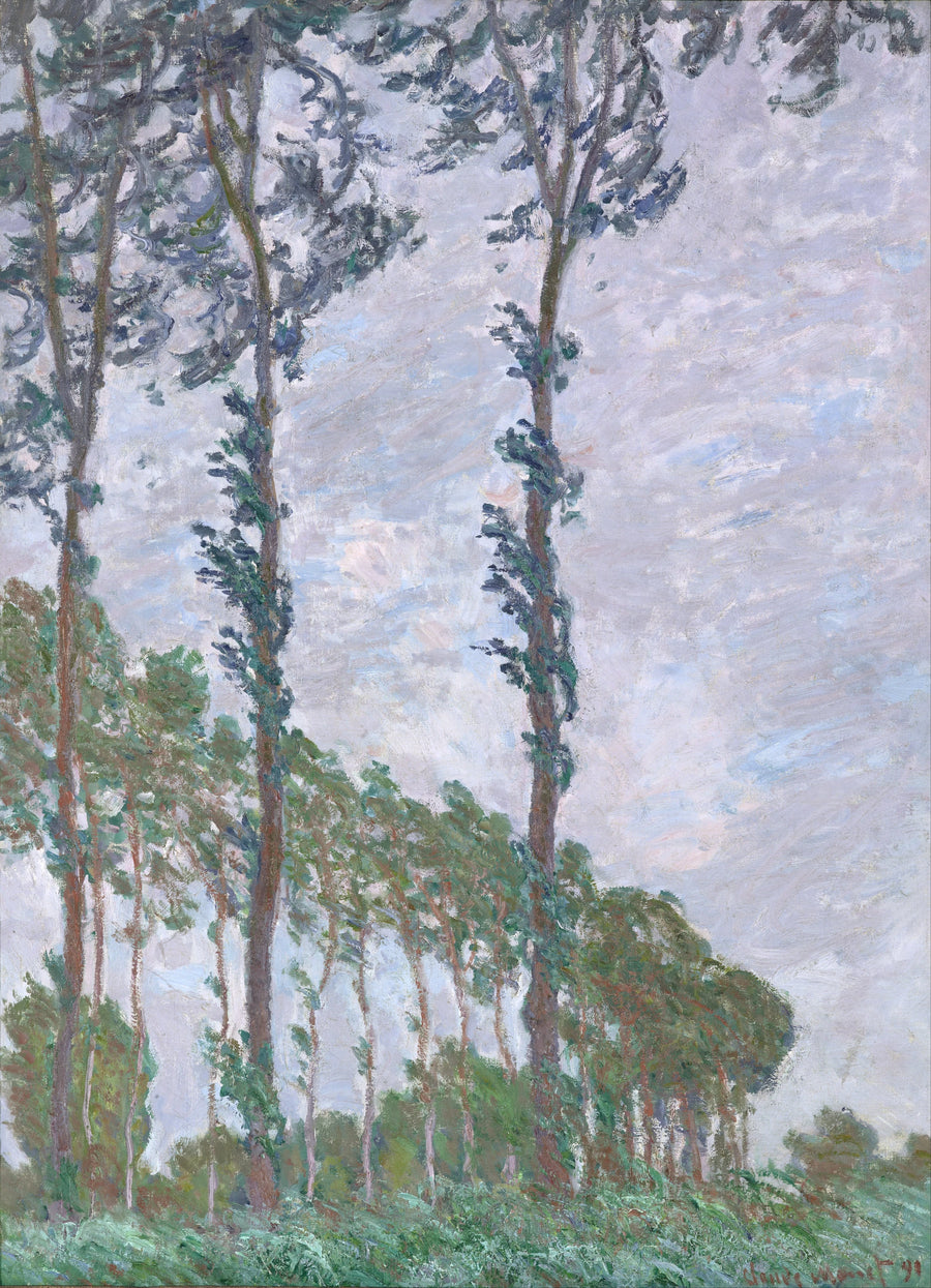 Vindeffekt, Poplars serie W1302 - Claude Monet