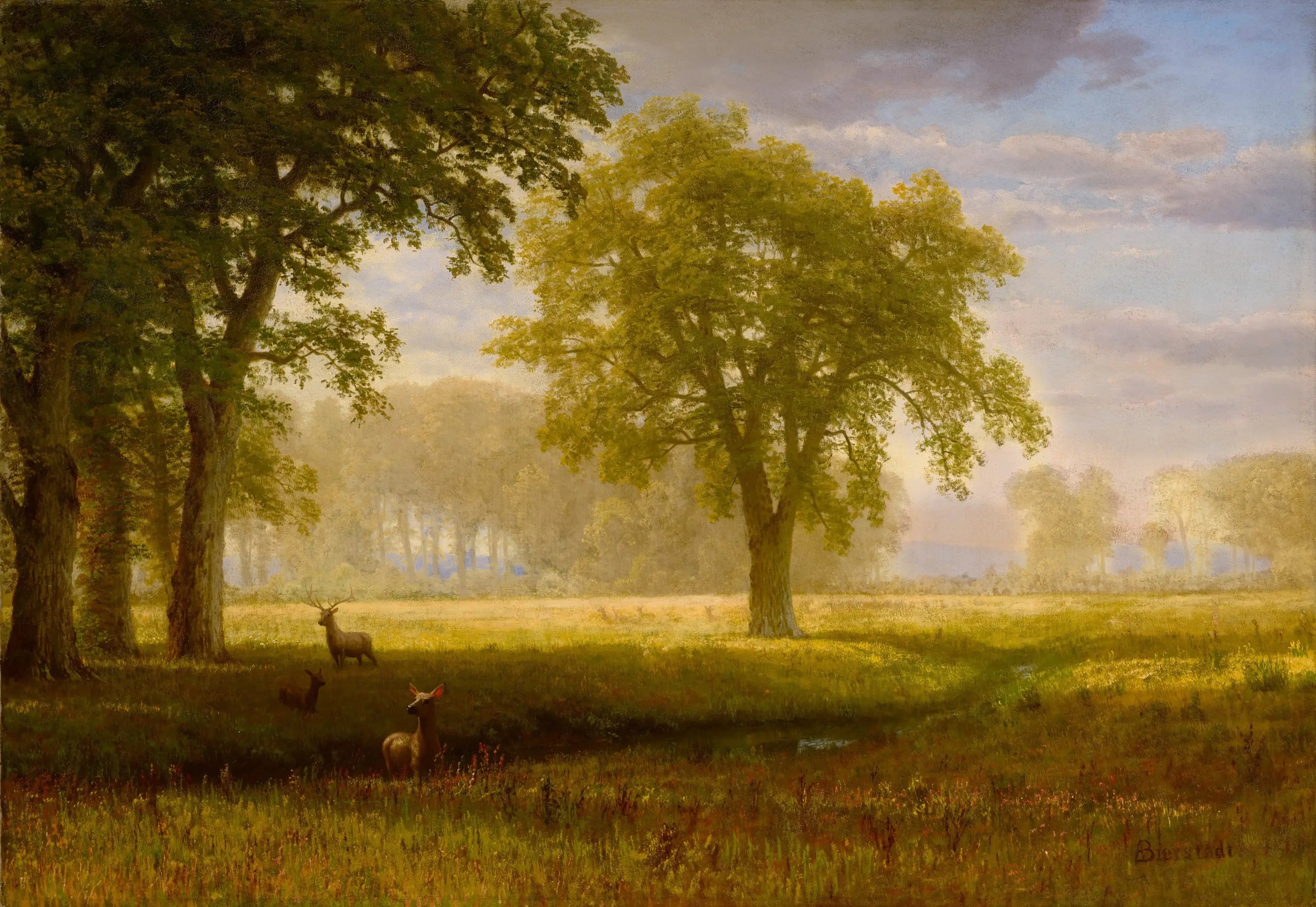 Élan à Oak Grove (Tuolumne Meadows) - Albert Bierstadt - Alpha Reproduction