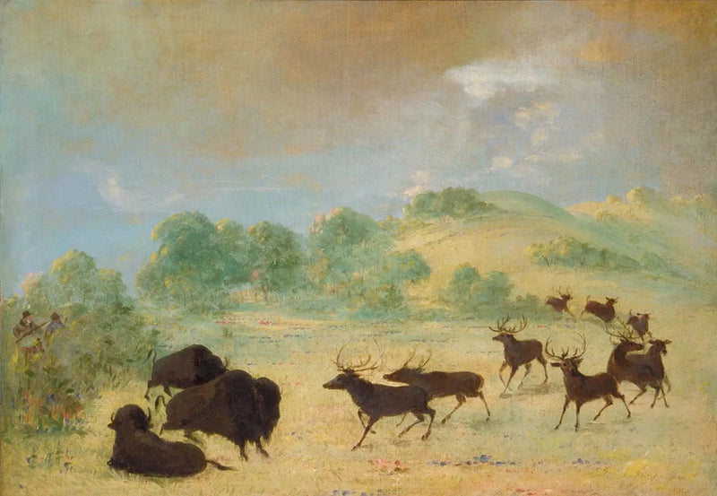 Elan og bison som blir kjent, Texas - George Catlin

Source:
Élan et bison faisant connaissance, Texas - George Catlin