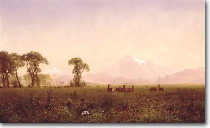 Elans som beiter i Wind River-området - Albert Bierstadt

Source:
Élans broutant dans la région de Wind River - Albert Bierstadt