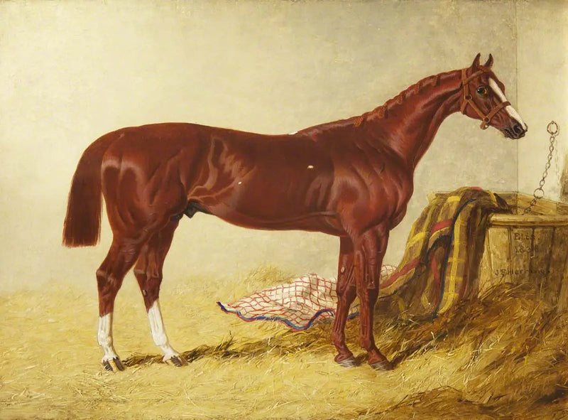 Elis, vinner av St Leger Stakes, 1836, i en separat boks - John Frederick Herring, Sr.

Source:
Elis, vainqueur du St Leger Stakes, 1836, dans un box détaché - John Frederick Herring, Sr.