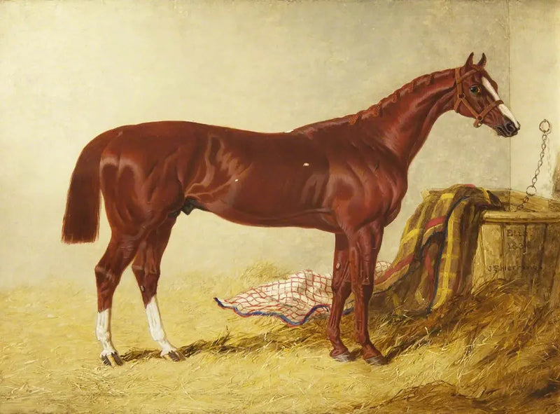 Elis, vinner av St Leger Stakes, 1836, i en separat boks - John Frederick Herring, Sr.

Source:
Elis, vainqueur du St Leger Stakes, 1836, dans un box détaché - John Frederick Herring, Sr.