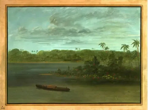 Munnstykke av Rio Purus - George Catlin

Source:
Embouchure du Rio Purus - George Catlin