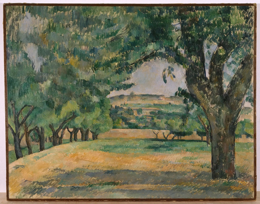 Områdene rundt Jas de Bouffan - Paul Cézanne