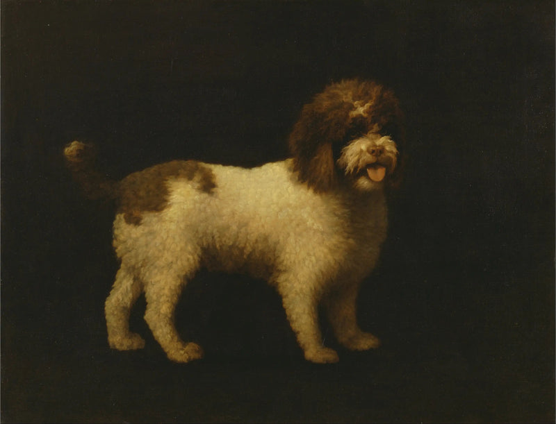 Vannspaniel - George Stubbs

Source:
Épagneul d'eau - George Stubbs