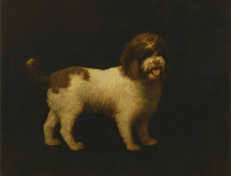 Vannspaniel - George Stubbs

Source:
Épagneul d'eau - George Stubbs