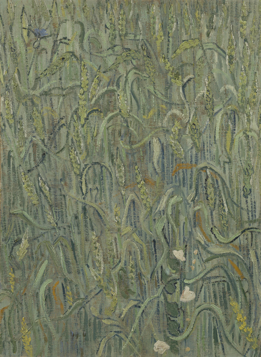 Hveteaks - Vincent van Gogh
