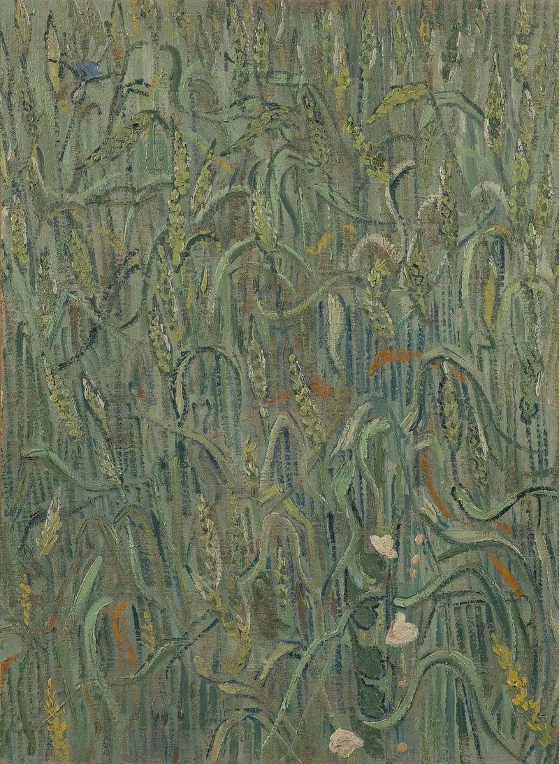 Hveteaks - Vincent van Gogh