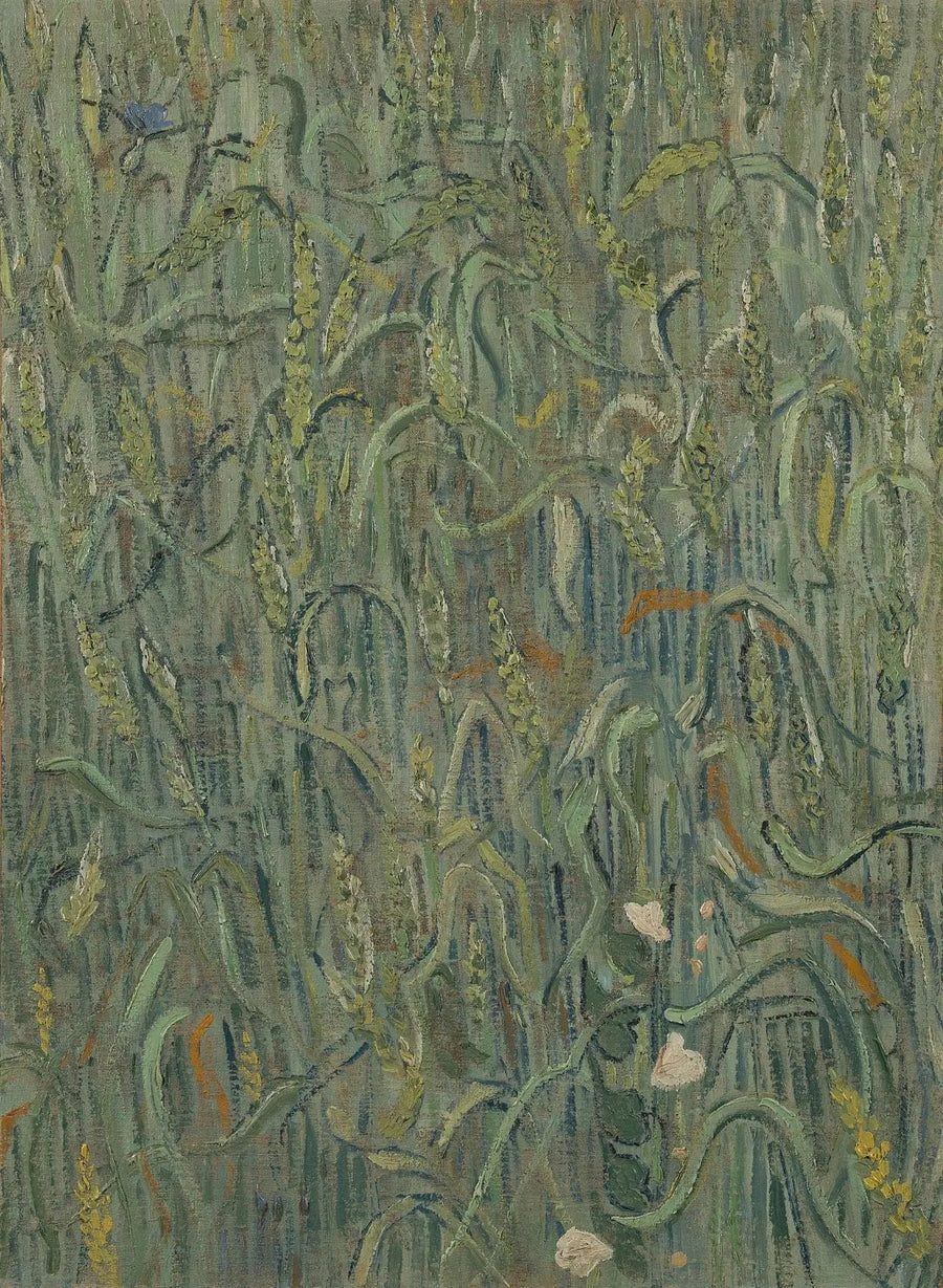 Hveteaks - Vincent van Gogh