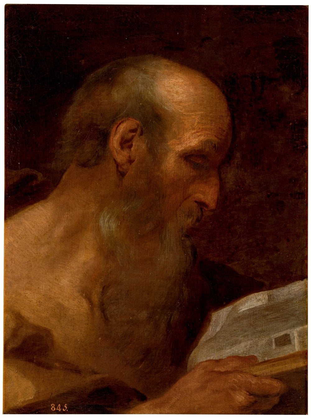 Estudio de cabeza - Andrea Sacchi image 1 copie peinte à la main à l’huile