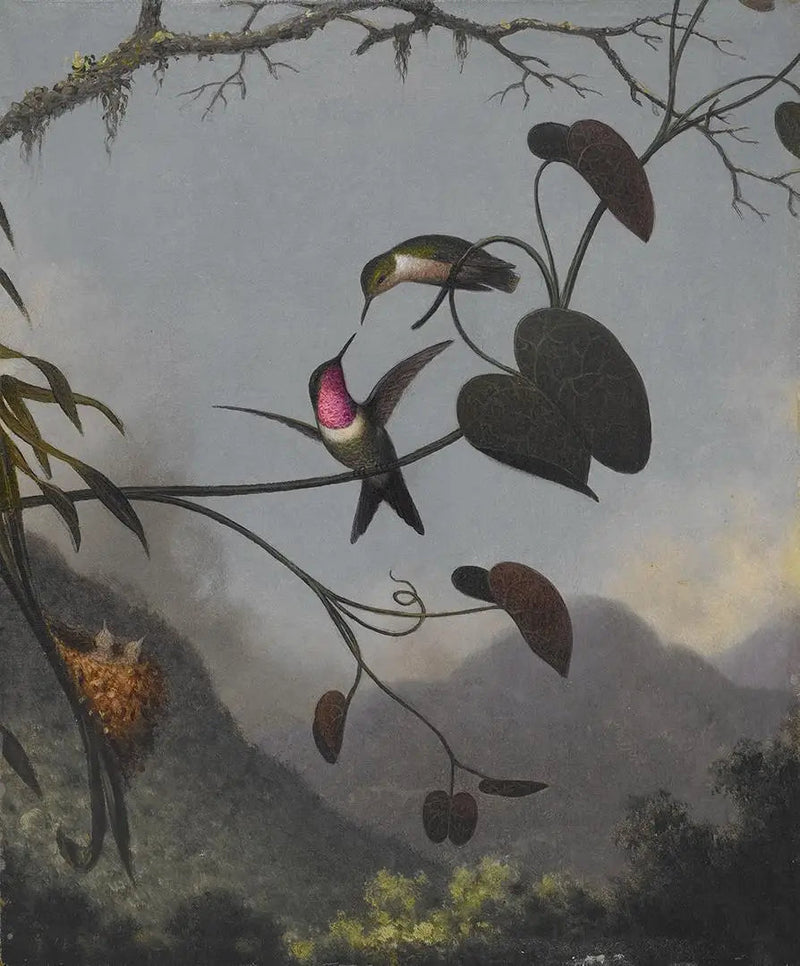 Amethyste av trestjerne - Martin Johnson Heade

Source:
Étoile des bois améthyste - Martin Johnson Heade