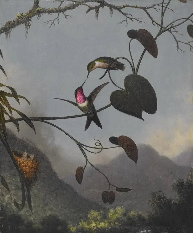 Amethyste av trestjerne - Martin Johnson Heade

Source:
Étoile des bois améthyste - Martin Johnson Heade