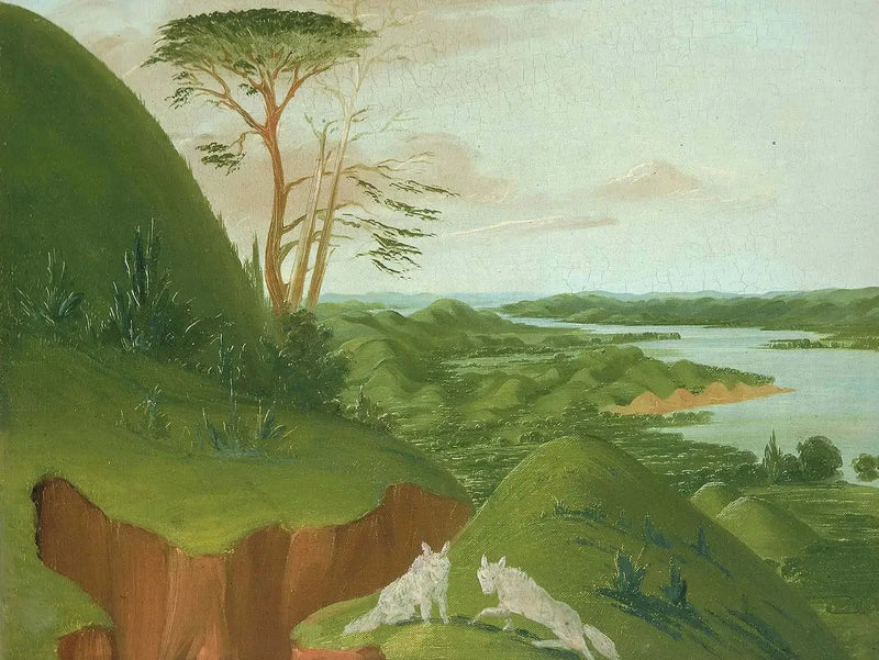 Elveklipper med hvite ulver i forgrunnen, Høy-Missouri - George Catlin

Source:
Falaises fluviales avec des loups blancs au premier plan, Haut-Missouri - George Catlin