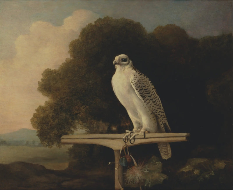 Grønlandshauk - George Stubbs

Source:
Faucon du Groenland - George Stubbs