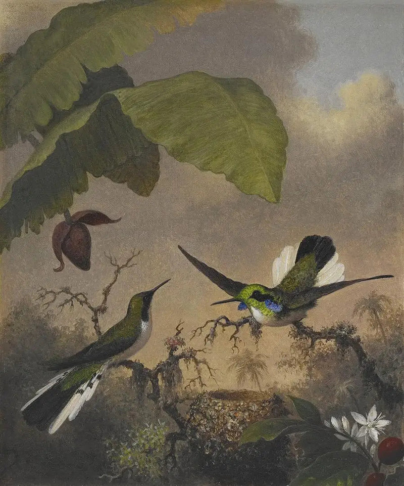 Fe med svarte ører - Martin Johnson Heade

Source:
Fée aux oreilles noires - Martin Johnson Heade