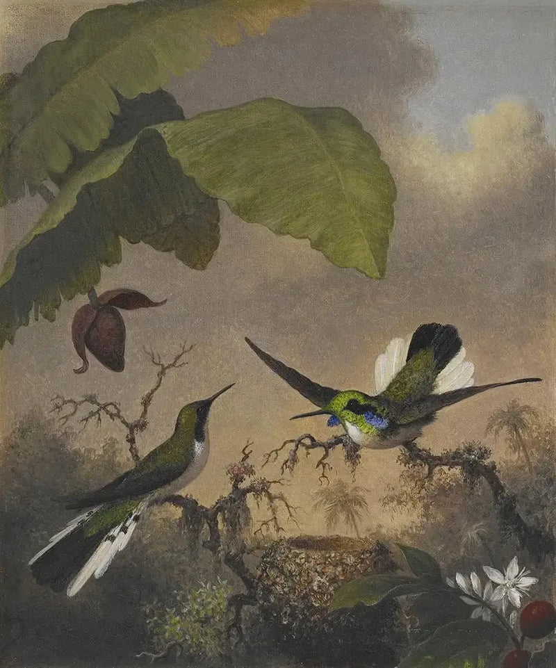 Fe med svarte ører - Martin Johnson Heade

Source:
Fée aux oreilles noires - Martin Johnson Heade