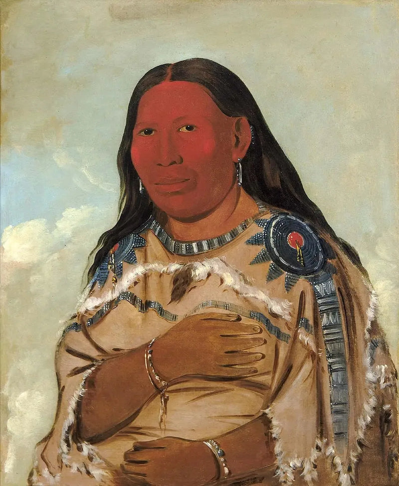 Kvinne med to ravner - George Catlin

Source:
Femme de deux corbeaux - George Catlin