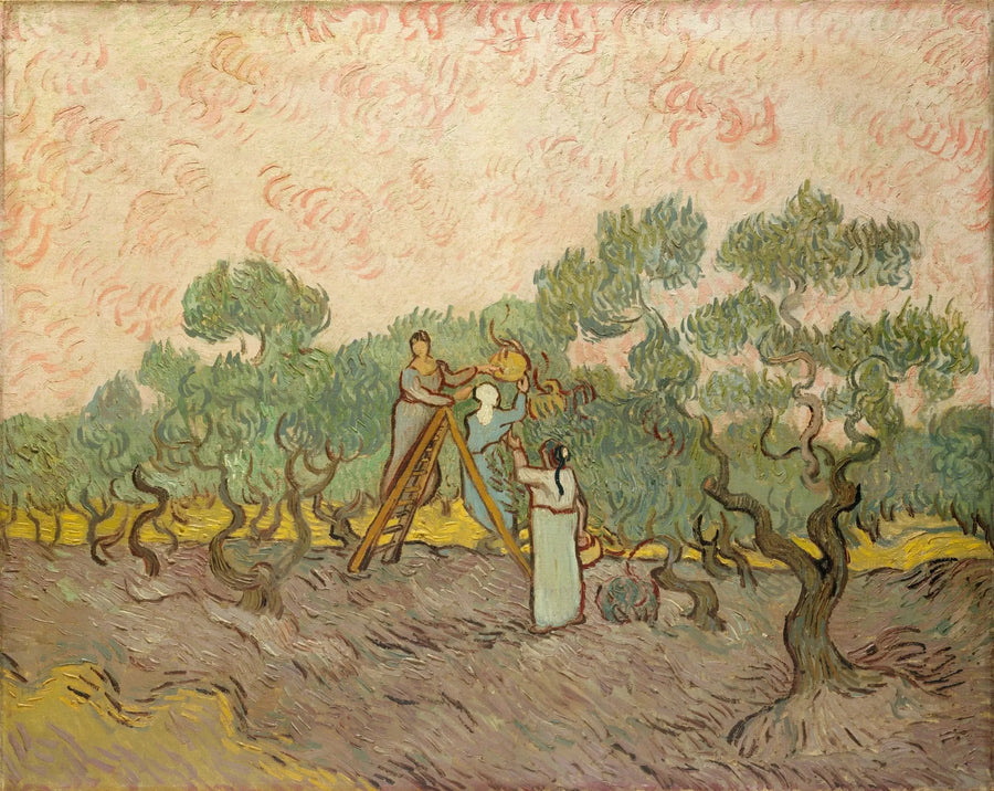 Kvinner som plukker oliven - Vincent van Gogh