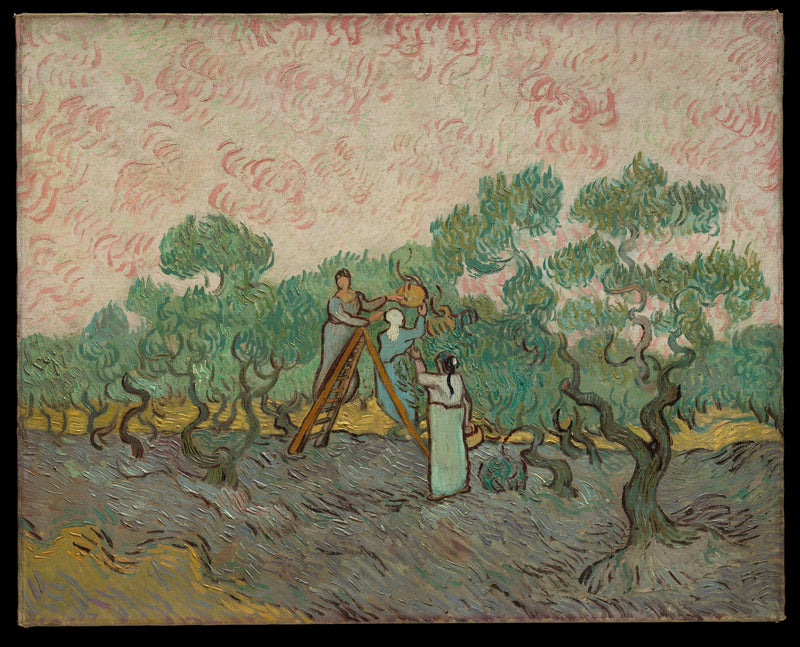 Kvinner som plukker oliven - Vincent van Gogh