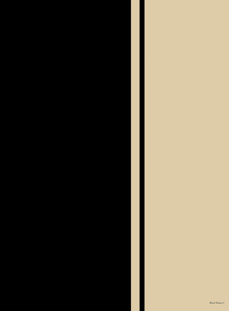 Feu Noir I - Barnett Newman