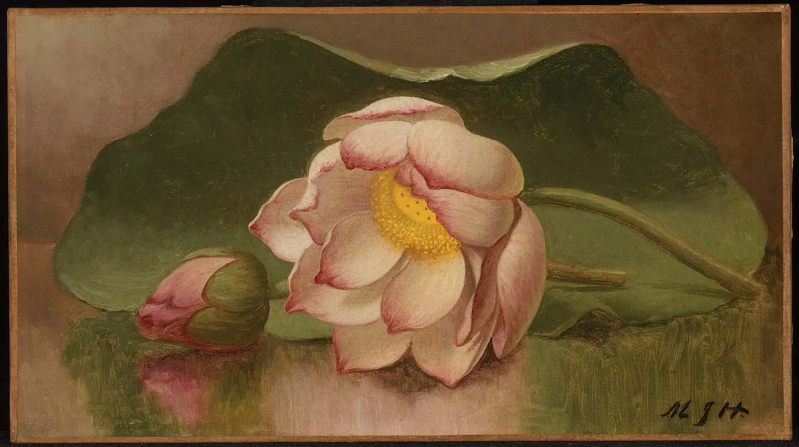 Fleur de lotus - Martin Johnson Heade image 1 reproduction artisanale de tableau