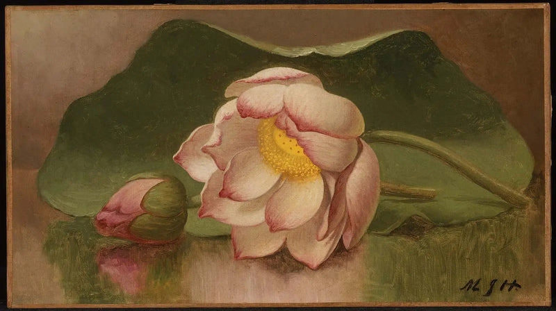Lotusblomst - Martin Johnson Heade

Source:
Fleur de lotus - Martin Johnson Heade