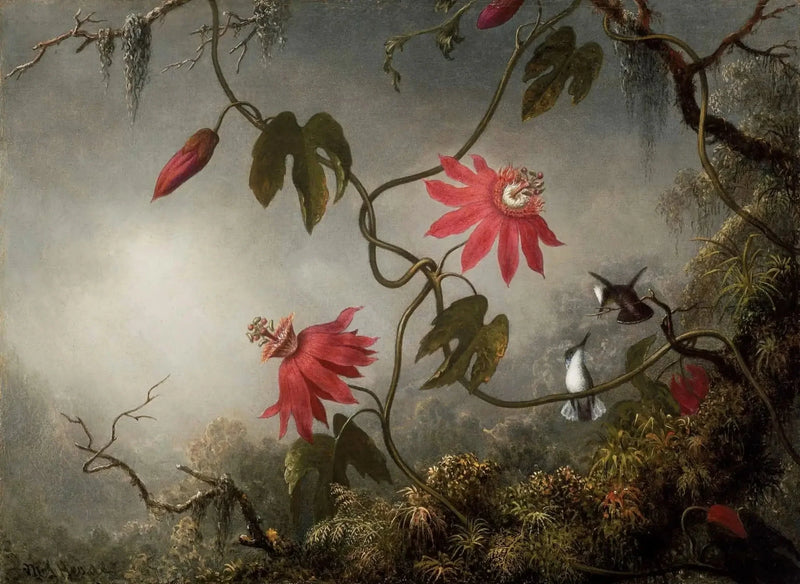 Kjærlighetsblomster og kolibrier - Martin Johnson Heade

Source:
Fleurs de la passion et Colibris - Martin Johnson Heade