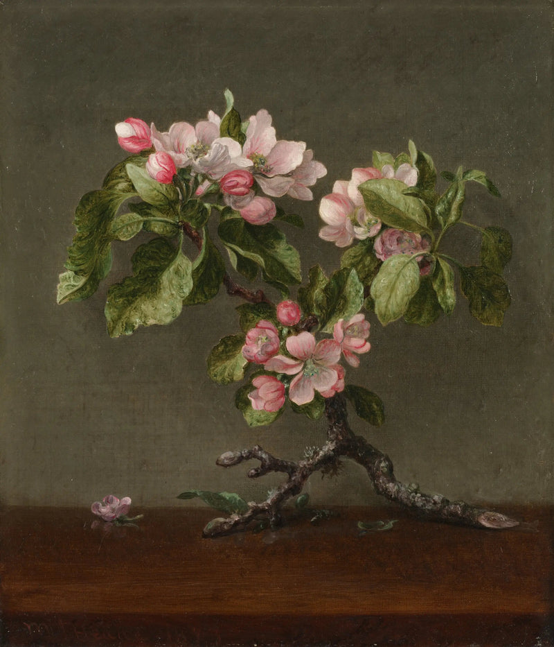 Epleblomster - Martin Johnson Heade

Source:
Fleurs de pommier - Martin Johnson Heade