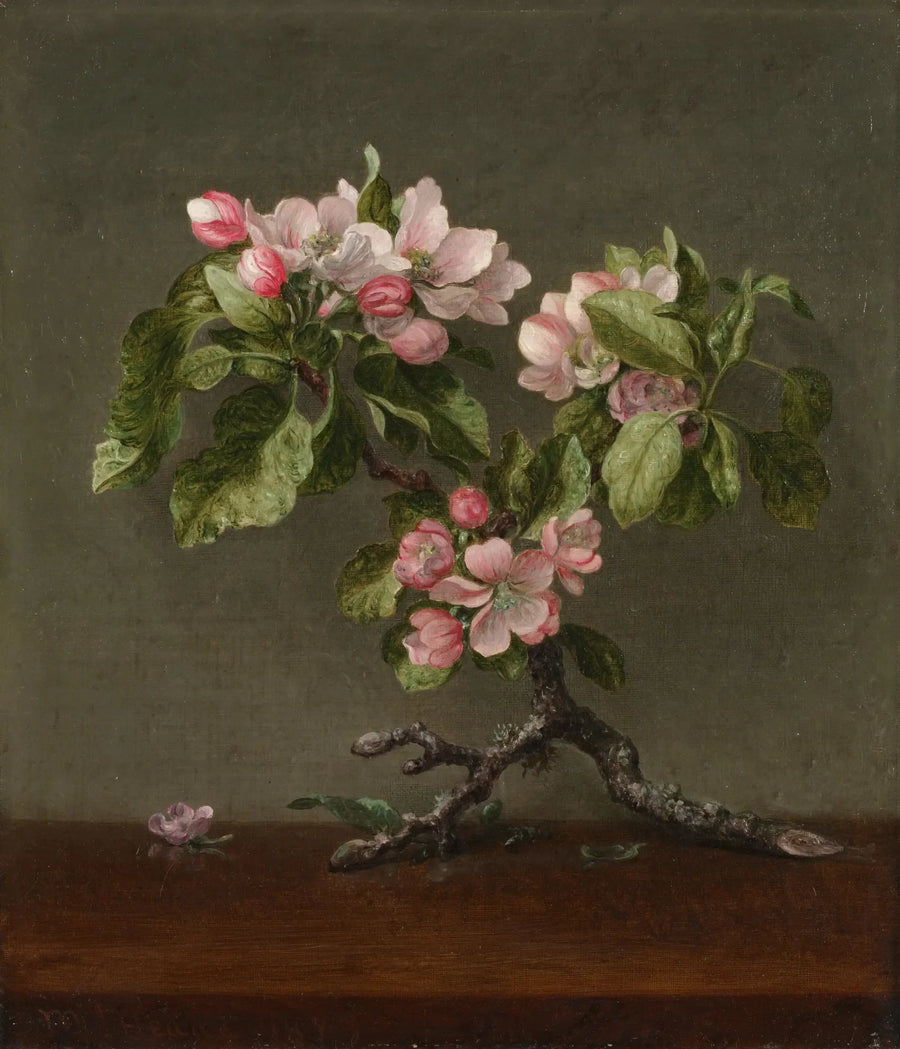 Epleblomster - Martin Johnson Heade

Source:
Fleurs de pommier - Martin Johnson Heade