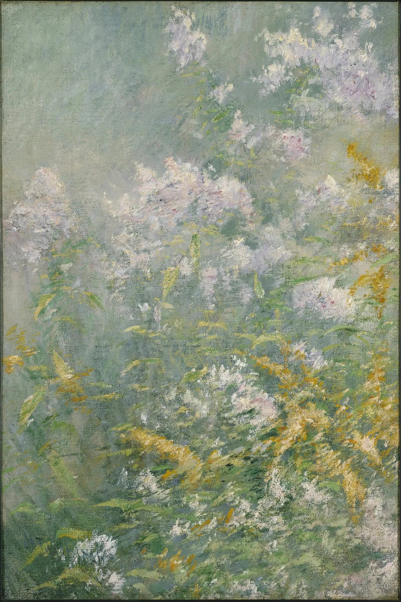 Blomsterenger (Gullris og Villasters) - John Henry Twachtman
