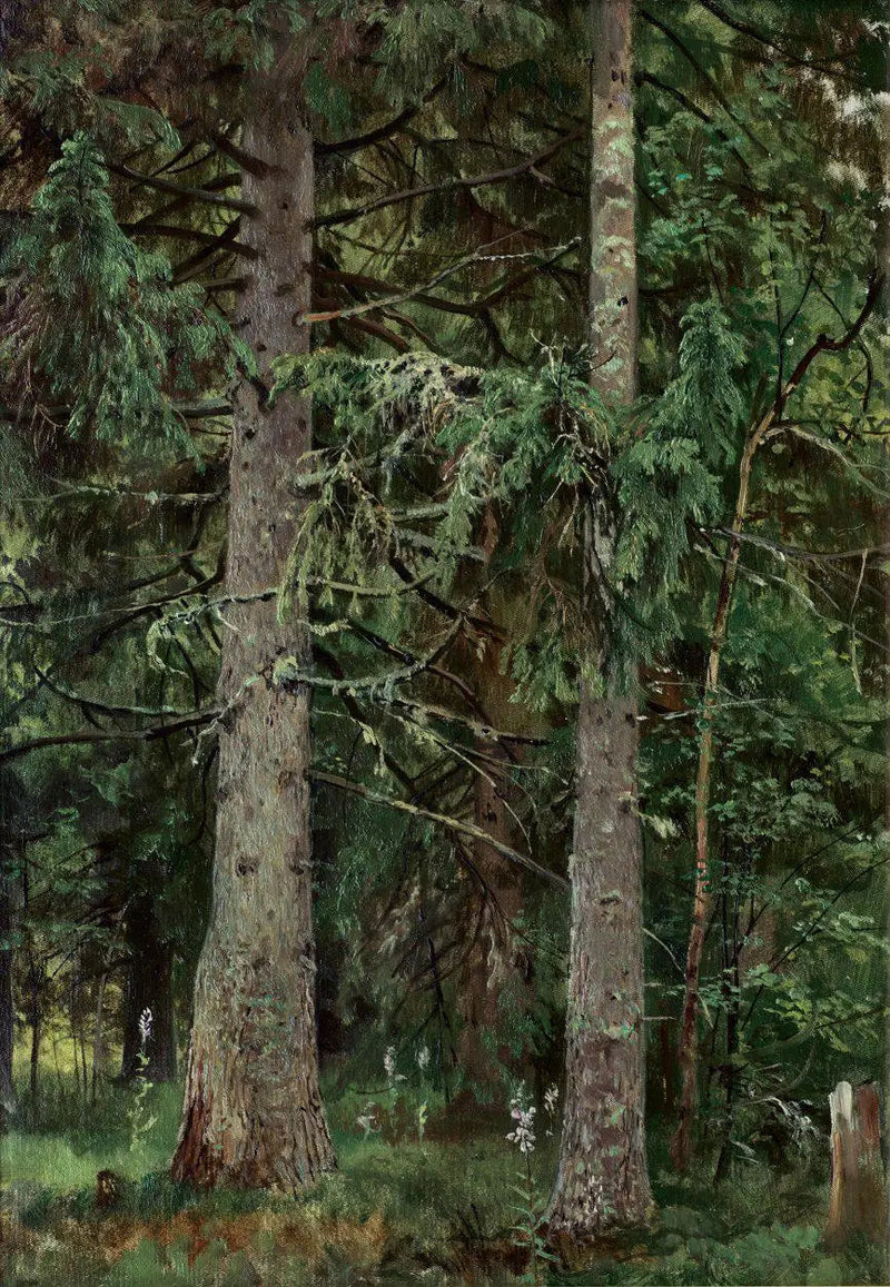 Furu-eskog - Ivan Chichkine

Source:
Forêt d'épicéas - Ivan Chichkine