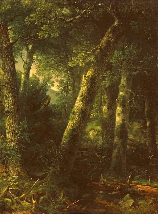 Skog i morgenlyset - Asher Brown Durand

Source:
Forêt dans la lumière du matin - Asher Brown Durand