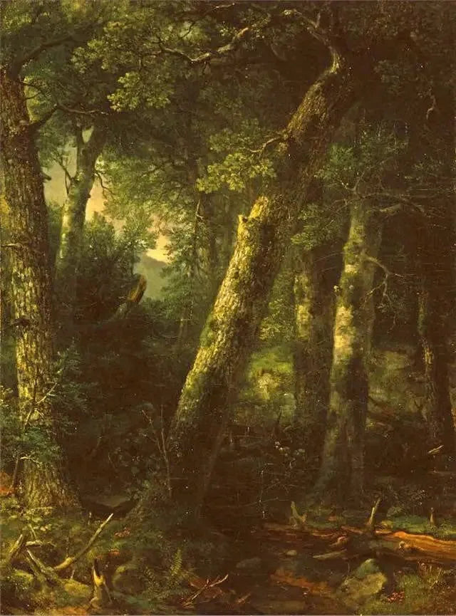 Skog i morgenlyset - Asher Brown Durand

Source:
Forêt dans la lumière du matin - Asher Brown Durand