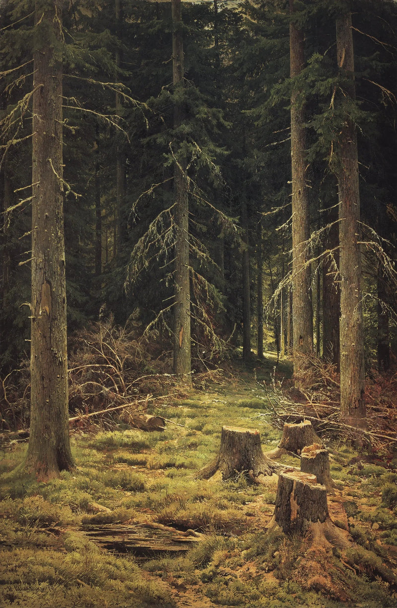 Furu- og grantrær - Ivan Chichkine

Source:
Forêt de conifères - Ivan Chichkine